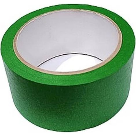 Ruban de Peinture 48mm x 25m - Green 60C UV Intérieur - Extérieur - Résistant aux UV et Pratique - Beast (1/4)