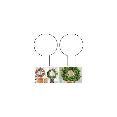 Support Rond pour Plantes Grimpantes en Métal, 2 Pièces Porte-Plantes de Jardin, 20x28cm Support Rond pour Plantes Grimpant, Support pour Plantes d’Intérieur pour Plantes Grimpantes (1/5)