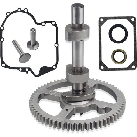 Pour Briggs Stratton 793880 Arbre à cames 793583 792681 791942 795102 Joint 697110 H465
