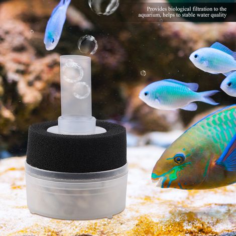 Filtre en Mousse Biologique pour Aquarium - Purification d'Eau Écologique -AUTRES