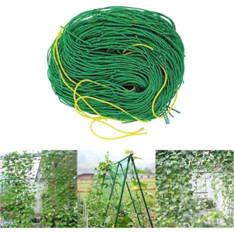Filet de support en nylon vert pour haricots grimpants (1/5)