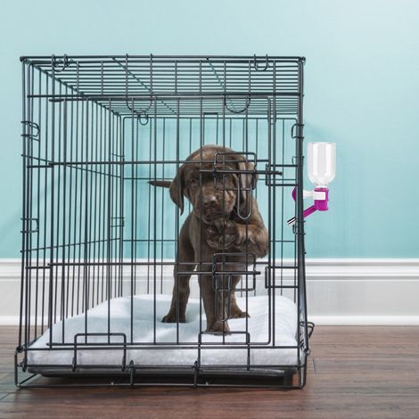 Fontaine à eau ABS violette pour animaux de compagnie avec bouteille de stockage d'eau pour chiens et chats (1/5)