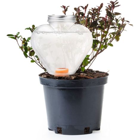 Arrosage Automatique Innovant 500ml pour Plantes Décoration - Système d’Hydratation Autonome en Plastique avec Base Terre Cuite Blanche/Pink (1/5)