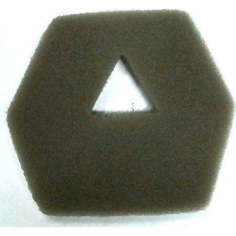 RICAMBIO PAPILLON - MOTOSEGA (51186-92831) PULITORE P.100
