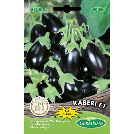 graines Baby Aubergine KABERI F1 (1/3)