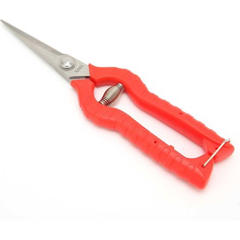 Ciseaux d'élagage acier inoxydable, sécateur de jardin pour branches d'arbres fruitiers, légumes, taille fine, outil de jardinage manuel (1/5)