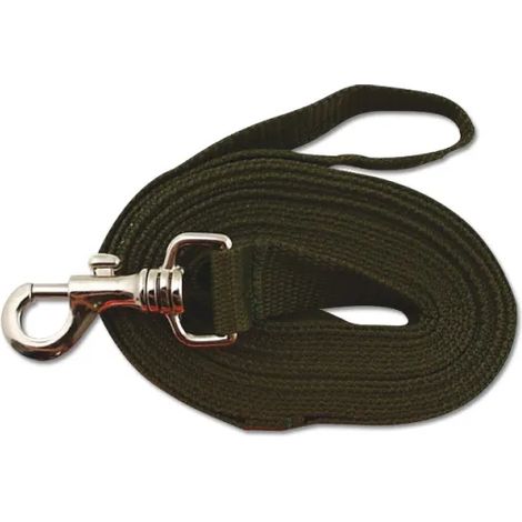 Longe pour chien 5m kaki ou orange