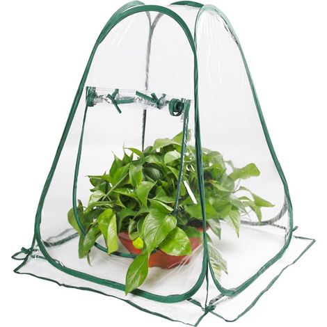 Mini Serre Pop Up, Petite Tente d'Hivernage pour Plantes, Protection Contre Le Gel (70 x 70 x 80 cm) (1/5)