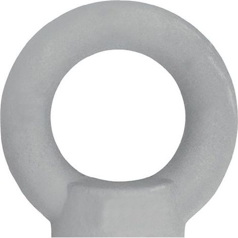 Ringmutter DIN 582 Gew.M12 STA C15 ZN 25 St./VE (1/3)