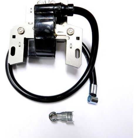 Toolive – Zündspule für Briggs & Stratton Rasenmäher 591420 398593 496914 793281 – Einfache Installation – ABS-Material – Hohe Zuverlässigkeit (1/5)