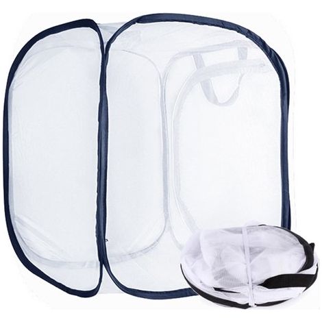 Cage d'élevage de papillons – Habitat pliable pour papillons avec panneaux en filet et fermeture éclair – Cage à insectes pour chenilles et papillons (30x30x30 cm) (1/5)