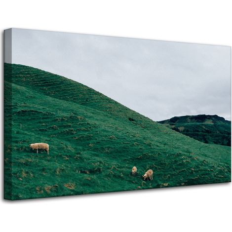 Leinwanddruck Naturweide in den Bergen 80x50