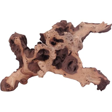 XL Mopani Wurzel Nr.4649 Holz Deko Aquascaping