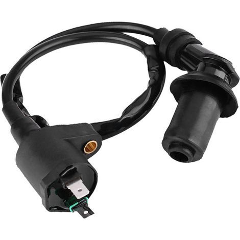 Bobine d'ignition pour moteur GY6 50CC 125CC 150CC Scooter Moto et Moto Vert Noir (1/5)