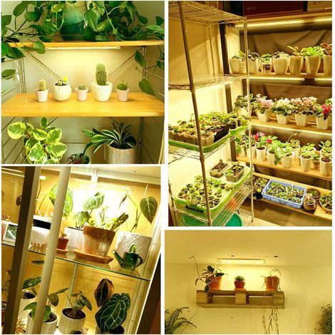 Lampe LED horticole d'intérieur à spectre complet avec minuterie, barre lumineuse LED pour serre. (1/5)