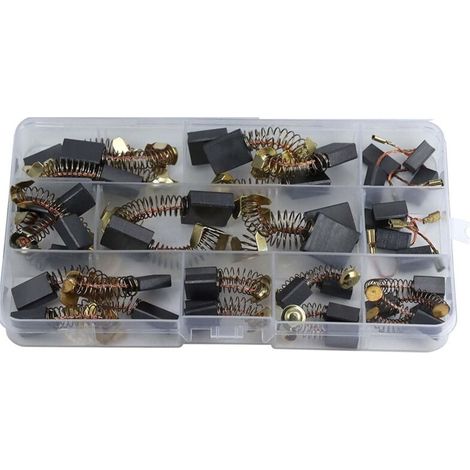 Kit de Balais Charbon Moteur Électrique 40 Pièces 10 Tailles Réparation Outils Électriques