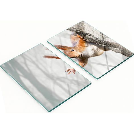 Juego de dos tablas de cocina decorativas de cristal con forma de ardilla, 2 x 40 x 52 cm. (1/5)