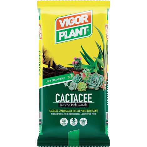 Terriccio Cactacee 5 litri Vigorplant