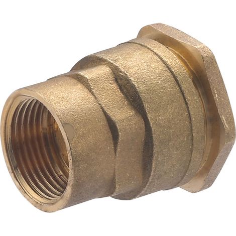 Noyon & Thiebault – Raccord femelle laiton pour tuyau polyéthylène Ø25 – Sortie 3/4 (20x27) – Étanchéité parfaite jusqu'à 10 bar – Pour circuits d'alimentation en eau