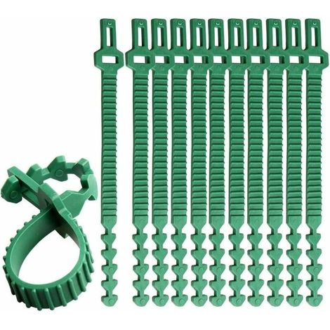 Packung mit 10 robusten Pflanzenbindern, 35 cm verstellbare Bänder für Bäume und Rosen. (1/5)