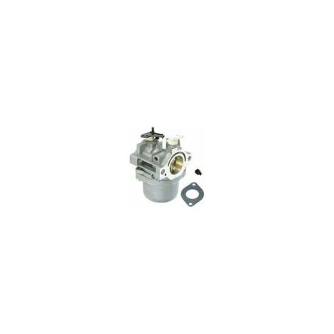Accessoires de jardin pour carburateur, carburateur de remplacement compatible avec les moteurs Briggs & Stratton 799728 498027 de 12 et 12,5 CV