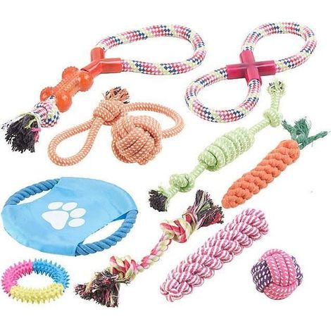 Lot de10 jouets pour chiens : à mâcher et lancer (1/3)
