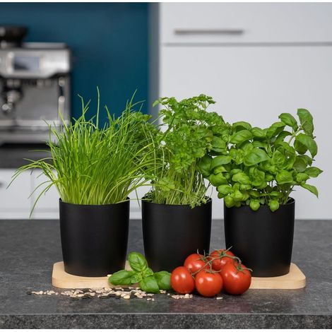 Ensemble de 3 pots à herbes aromatiques élégants Novaliv avec socle en bois : pots à herbes pour chaque rebord de fenêtre, pour herbes aromatiques