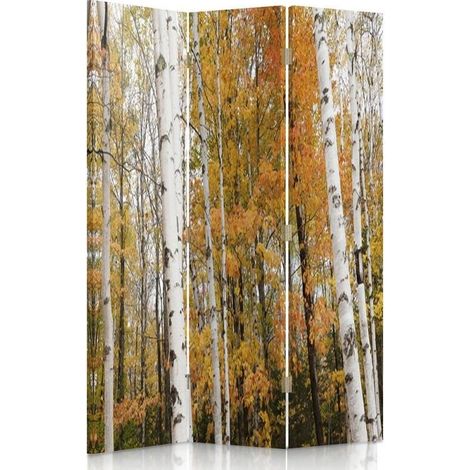 Paravento bilaterale 360, Bosco di betulle in autunno - 110x170 (1/5)