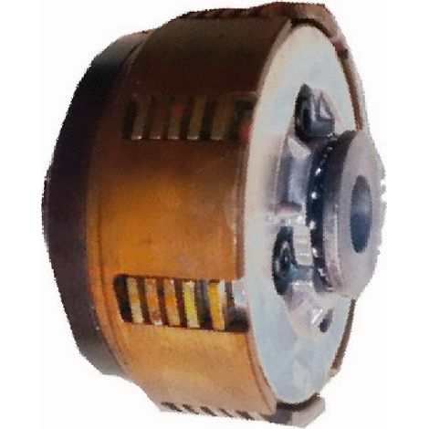 Embrague compatible con Ba1000 Ref 446920