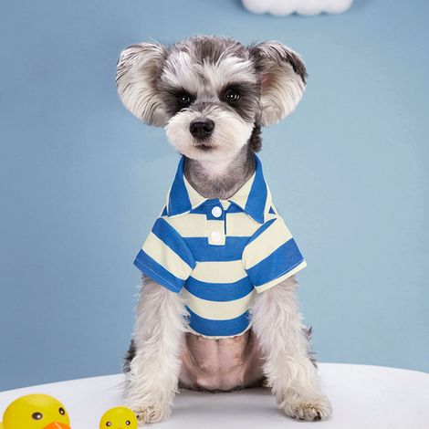 vêtement pour chien - Rayures d'été - Vêtements fins pour animaux - Convient aux chiens bipèdes de type Teddy, Bichon, Poméranien, Bouledogue français et Chat (1/4)