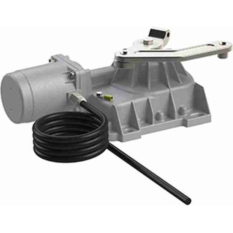 Roger - R21/351 GETRIEBEMOTOR FÜR UNTERIRDISCHE - 230 V - 2 MT KABEL