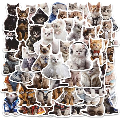 Autocollants Chats, Lot de 50 autocollants amusants, chats, pour téléphone, ordinateur portable, valise, casque, moto, voiture, vélo, etc. (1/5)