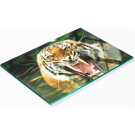 Tablero decorativo multifuncional de vidrio templado con diseño de tigre rugiente, 80x52 cm. (1/5)