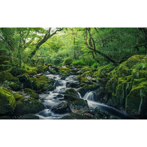 Papier peint panoramique naturel Contes Verts (1/4)