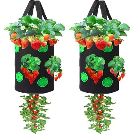 Set di 2 vasi sospesi per fragole con fori multipli, capacità 3 galloni, colore nero, con 13 fori di drenaggio, ideali per la coltivazione su balconi e in giardino. (1/5)