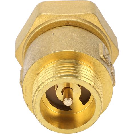 Clapet Anti-Retour à Bille DN25 32mm Laiton pour Compteur d'Eau Robinet (1/5)