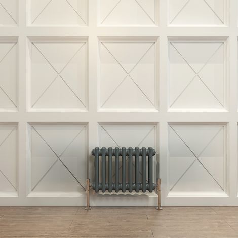 Biubiubath Traditional Cast Iron Radiator 300x425mm 2 Column Anthracite (1/5)