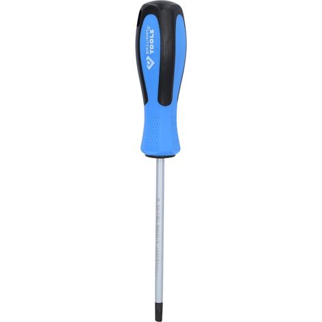 BRILLIANT TOOLS  Destornillador TORX  T30 x  115 mm  - BT031016 (1/4)