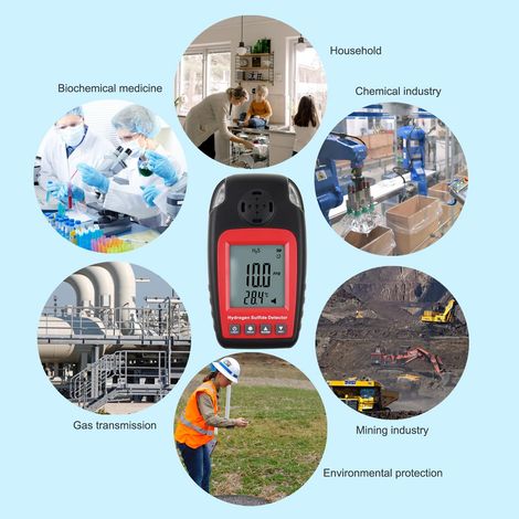 Rilevatore di solfuri Rilevatore di gas H2S Monitor portatile con allarme sonoro e flash Monitor di gas H2S per la sicurezza e il monitoraggio ambientale (1/4)