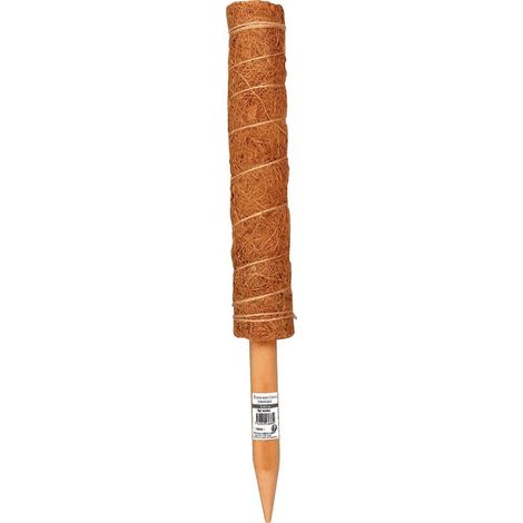 Tuteur Bois Coco 60cm