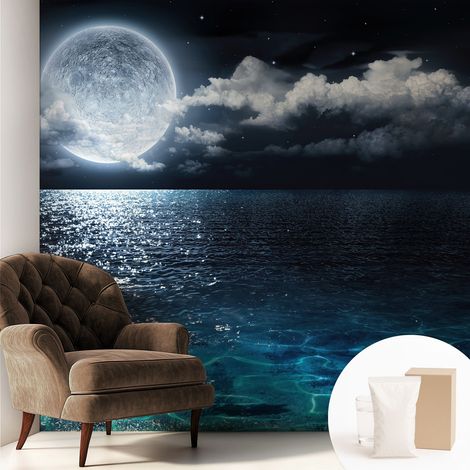 Carta Da Parati Non Tessuto - Con Colla Inclusa per Camera da Letto - Facile da Applica - Motivo decorativo Mare notturno 250x250 cm (1/5)