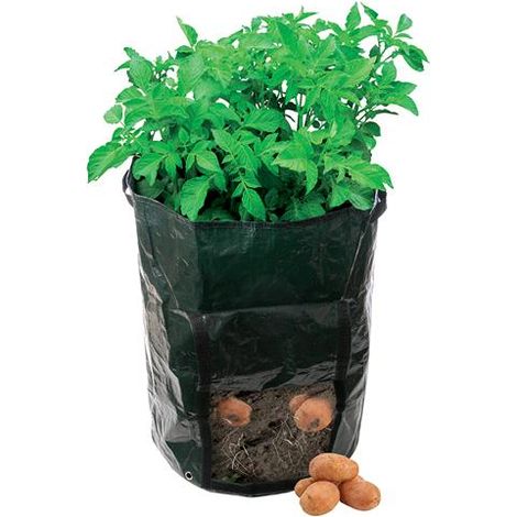 Sacchetto in tessuto di polietilene per piantare patate 360 x 510 mm Silverline