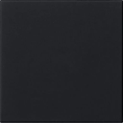 Gira Bedienaufsatz sw S3000 5360005 (1/2)