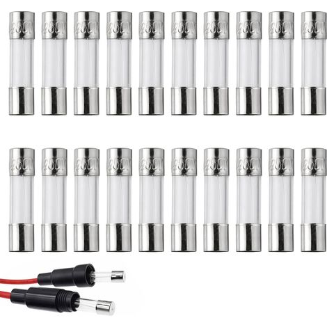 20 Pièces F10AL250V 5x20 mm 10A 250V Fusibles à Fusion Rapide, Fusibles en Tube de Verre pour Protection de Circuit Électrique, Standard pour Appareils Électriques, 0.2 x 0.78 Pouce (1/5)