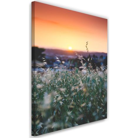 Cadre déco Prairie Coucher de soleil Nature 40x60 (1/5)