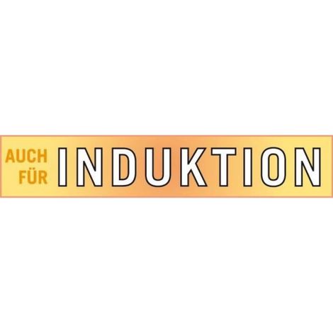 Faitout - - RIGO - 24 cm - Induction - Acier inoxydable
