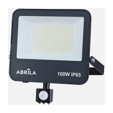 Proyector c/sensor boiro 100w 6500k negro 10000lm led smd ip65 orientable 27x23,5x6cm