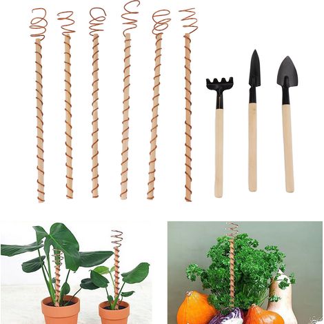 Tuteurs pour plantes électro-cultivées, supports pour plantes, bobines d'antenne en cuivre pour la plantation de plantes de jardin, accessoires pour outils de jardinage (1/5)