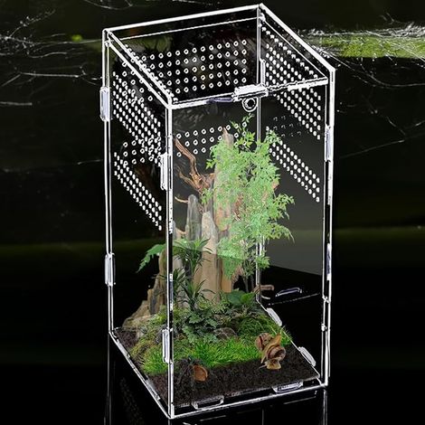 Terrarium en acrylique pour escargots : Nizirioo 12x12x20 cm, boîte d'alimentation pour reptiles, mini terrarium transparent en acrylique, mini terrarium pour araignées, scorpions, mantes (1/5)