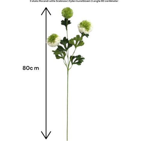 Fleur Artificielle Scabieuse en Soie Lot de 2 Tiges 80 cm Décoration Intérieure Blanc - PANGIVO (1/5)